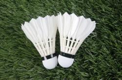 足球直播在线观看-印度羽毛球队横扫泰国羽毛球队，林丹统治全场